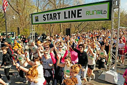 How We Boosted Run for the Wild’s Fundraising by 85%!