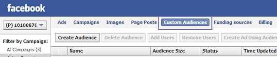 Custom Audience tab in Facebook's Power Editor