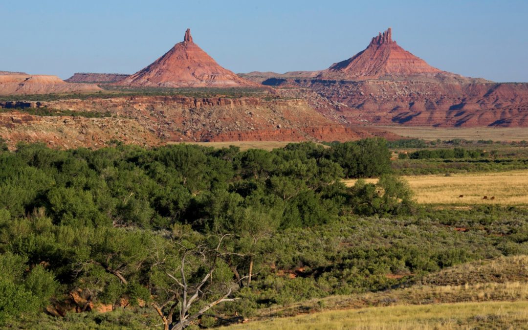 Protecting National Monuments