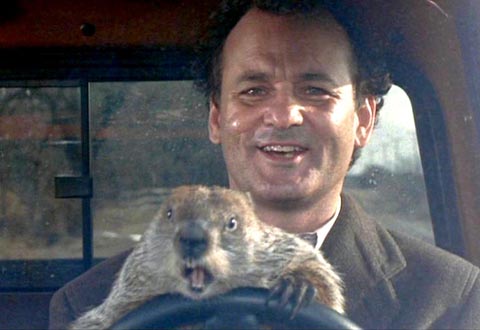 Bill Murray + Phil