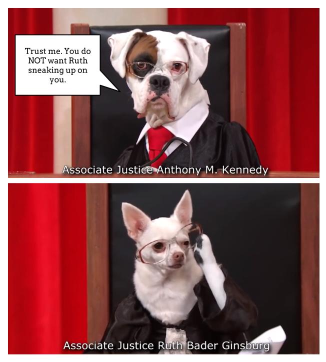Lab - 5 - Kennedy-RBG.jpg